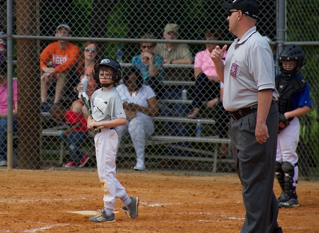 对于引进什 对于引进什